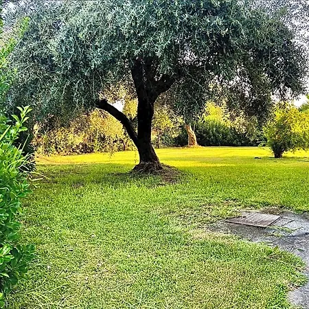 Bruskos & 3* Agios Georgios (Corfu)